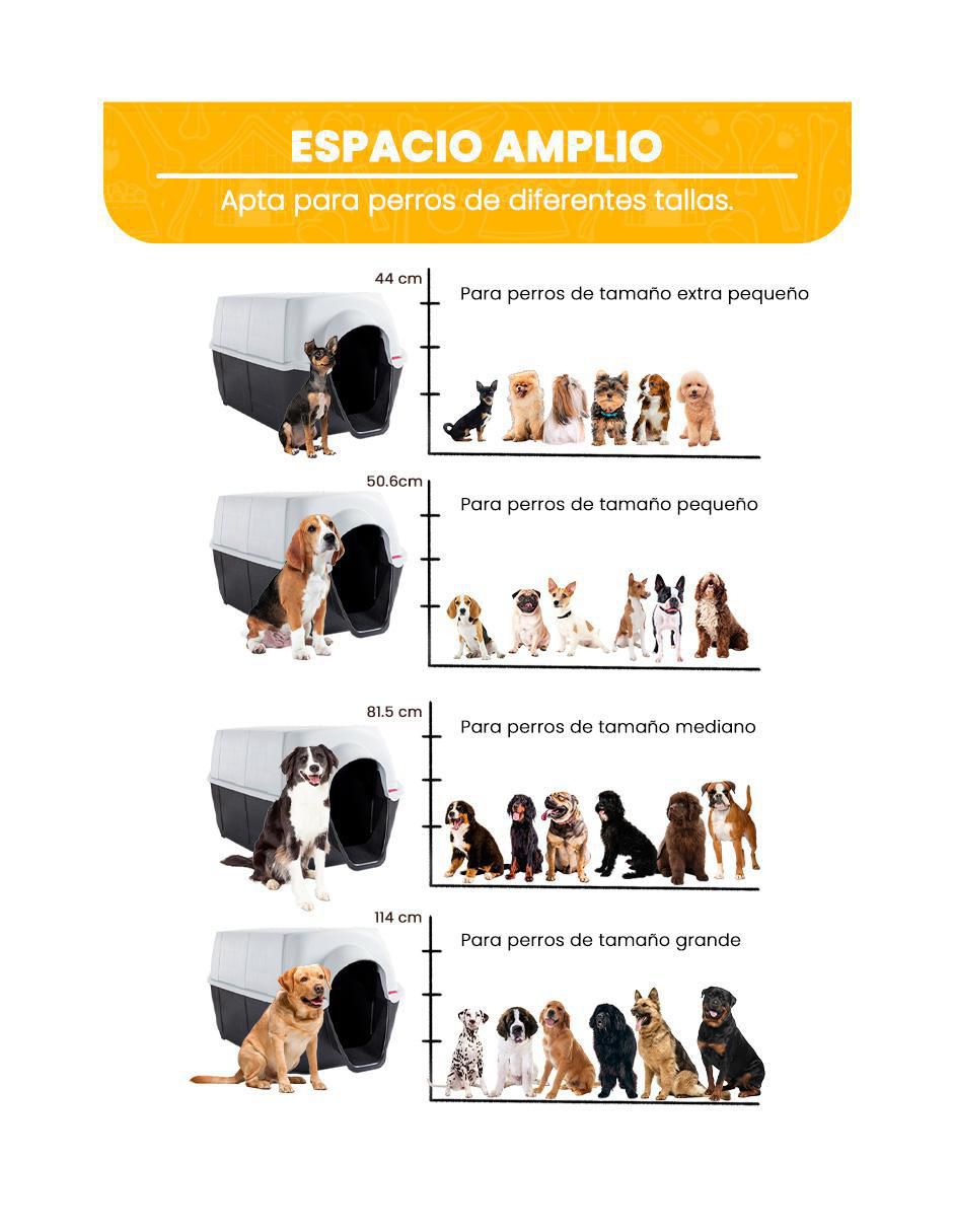 Casa para perro