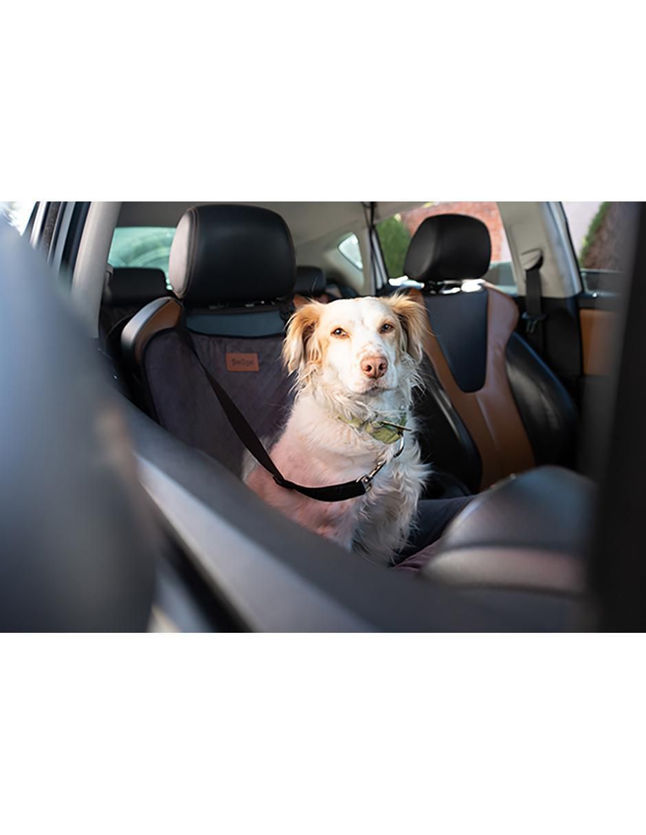 Autoasiento para mascota 5