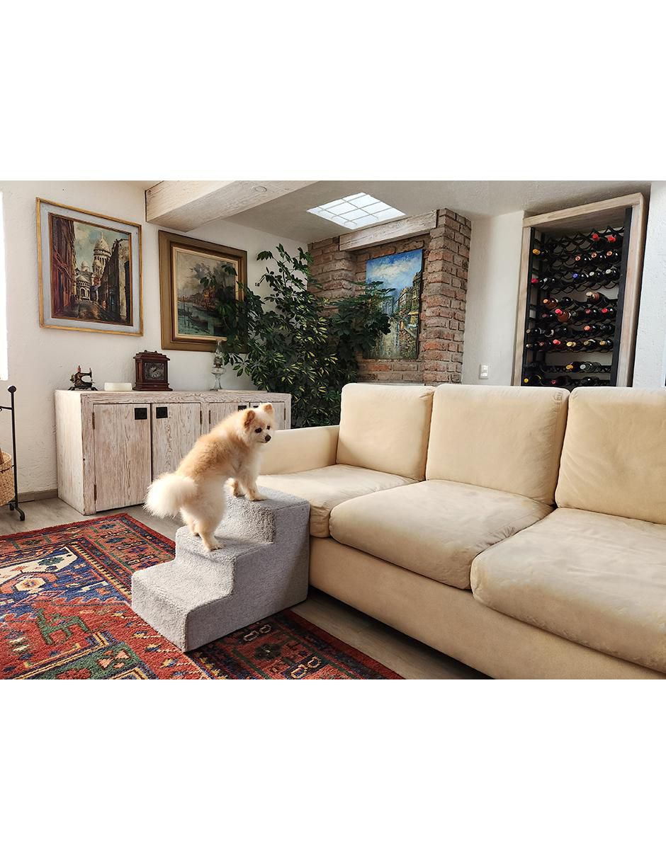 Escalera para perro y gato