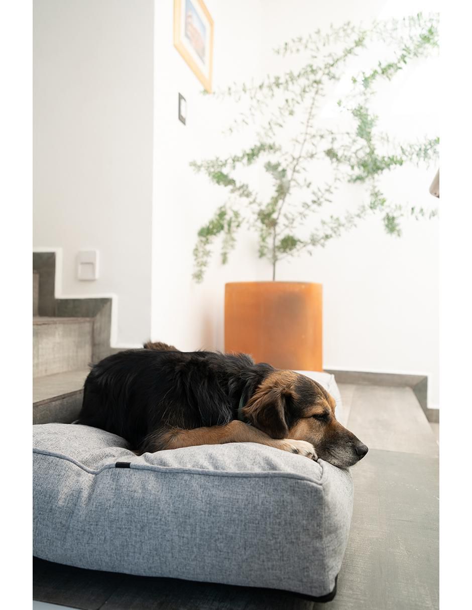Cama para mascota 6