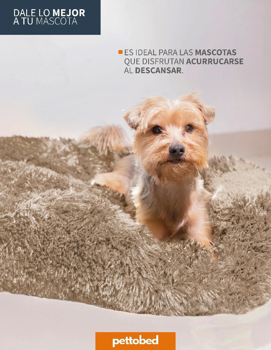 Cama para mascota 5