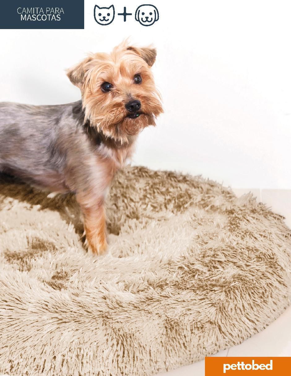 Cama para mascota 6