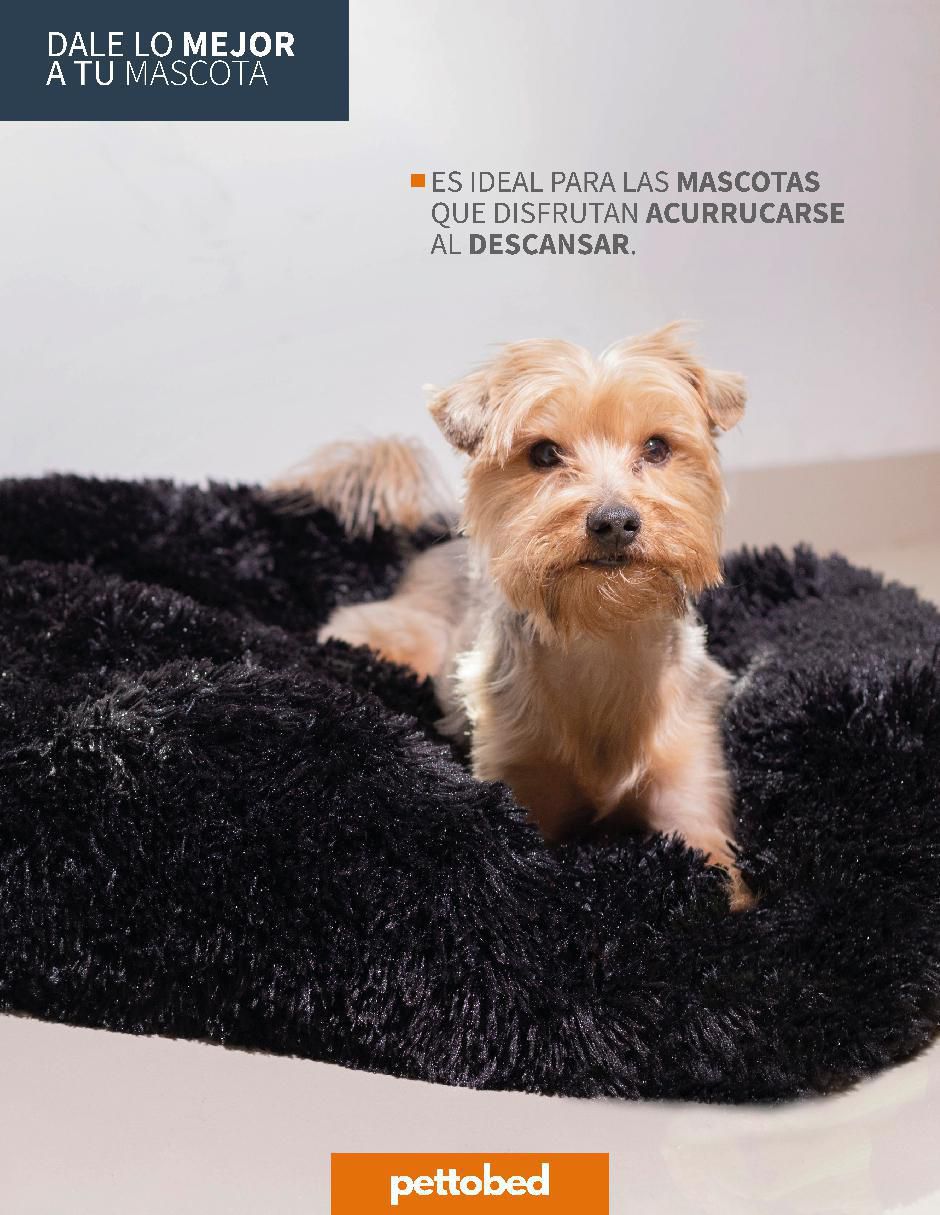 Cama para mascota 5