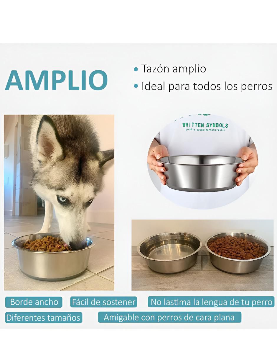 Set comedero para perro