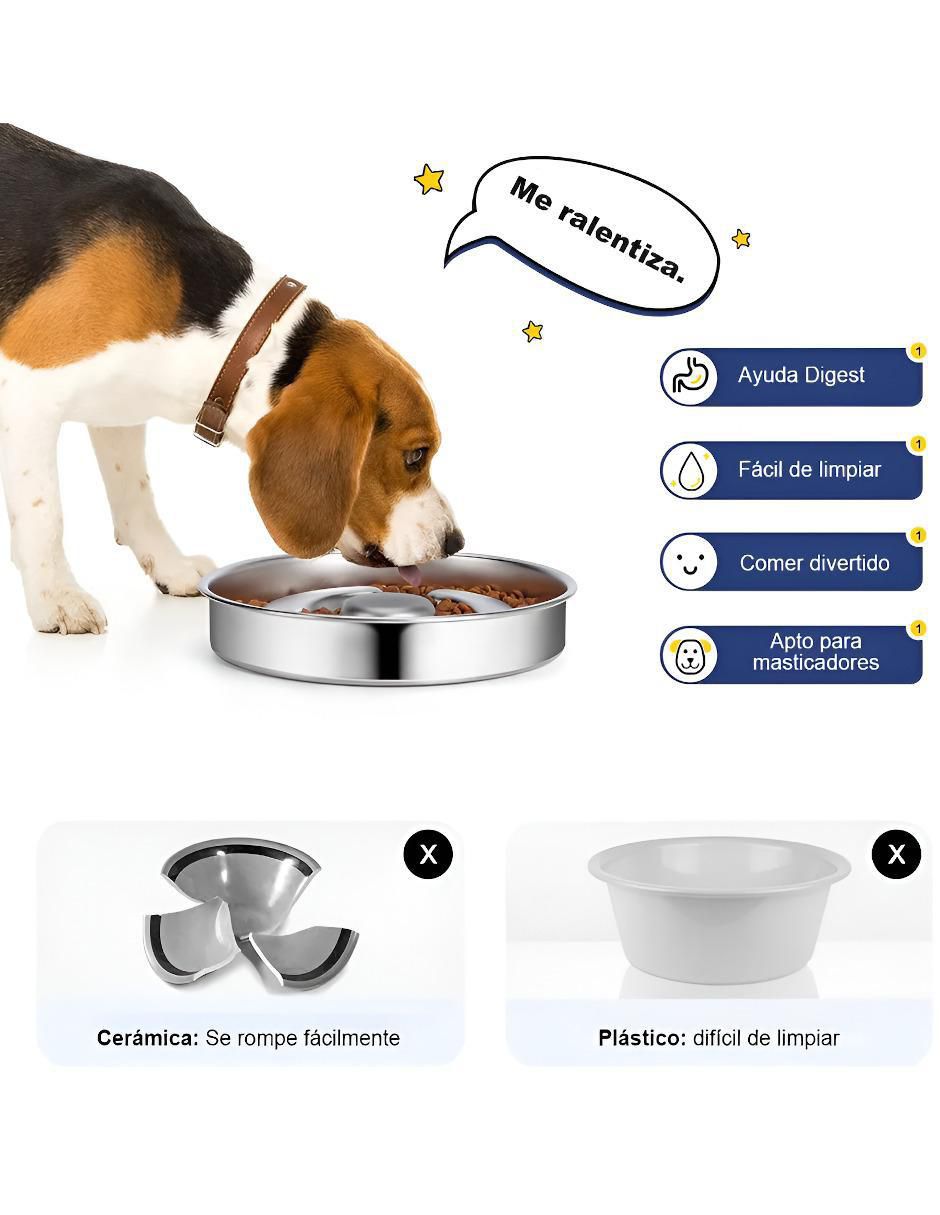 Plato para perro 3