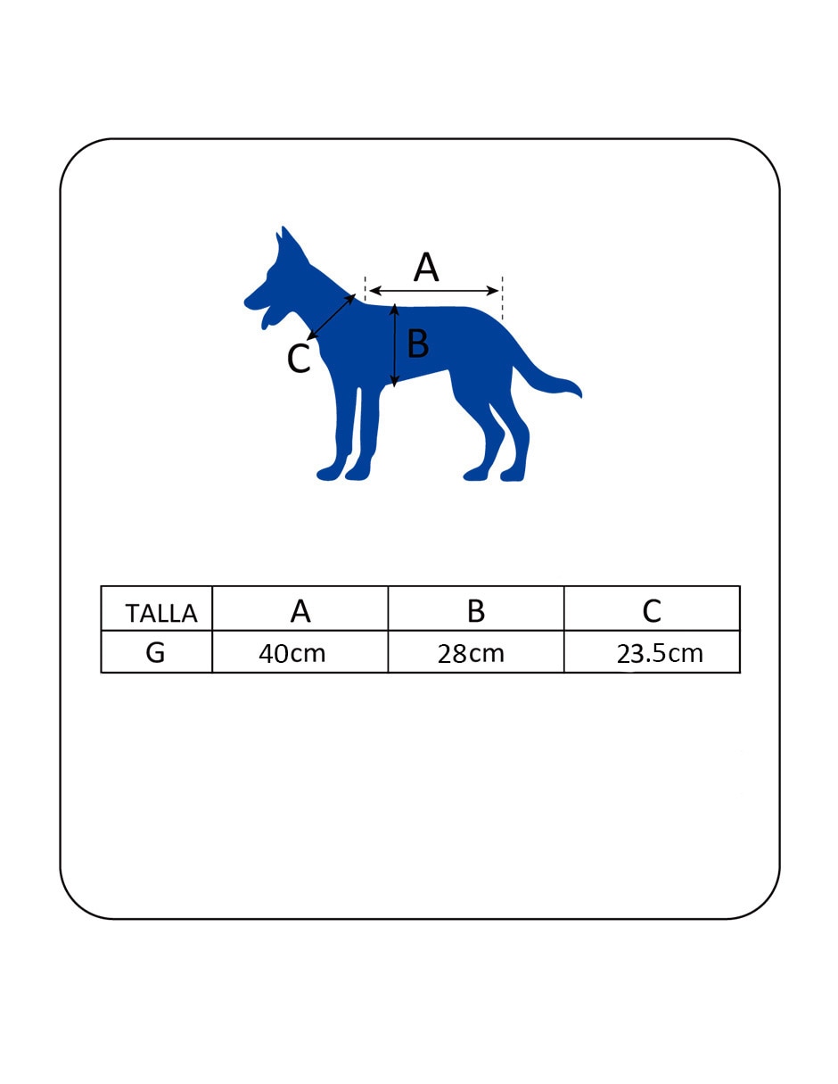 Impermeable para perro 8