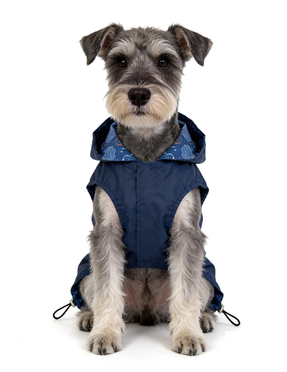 Impermeable para perro 7