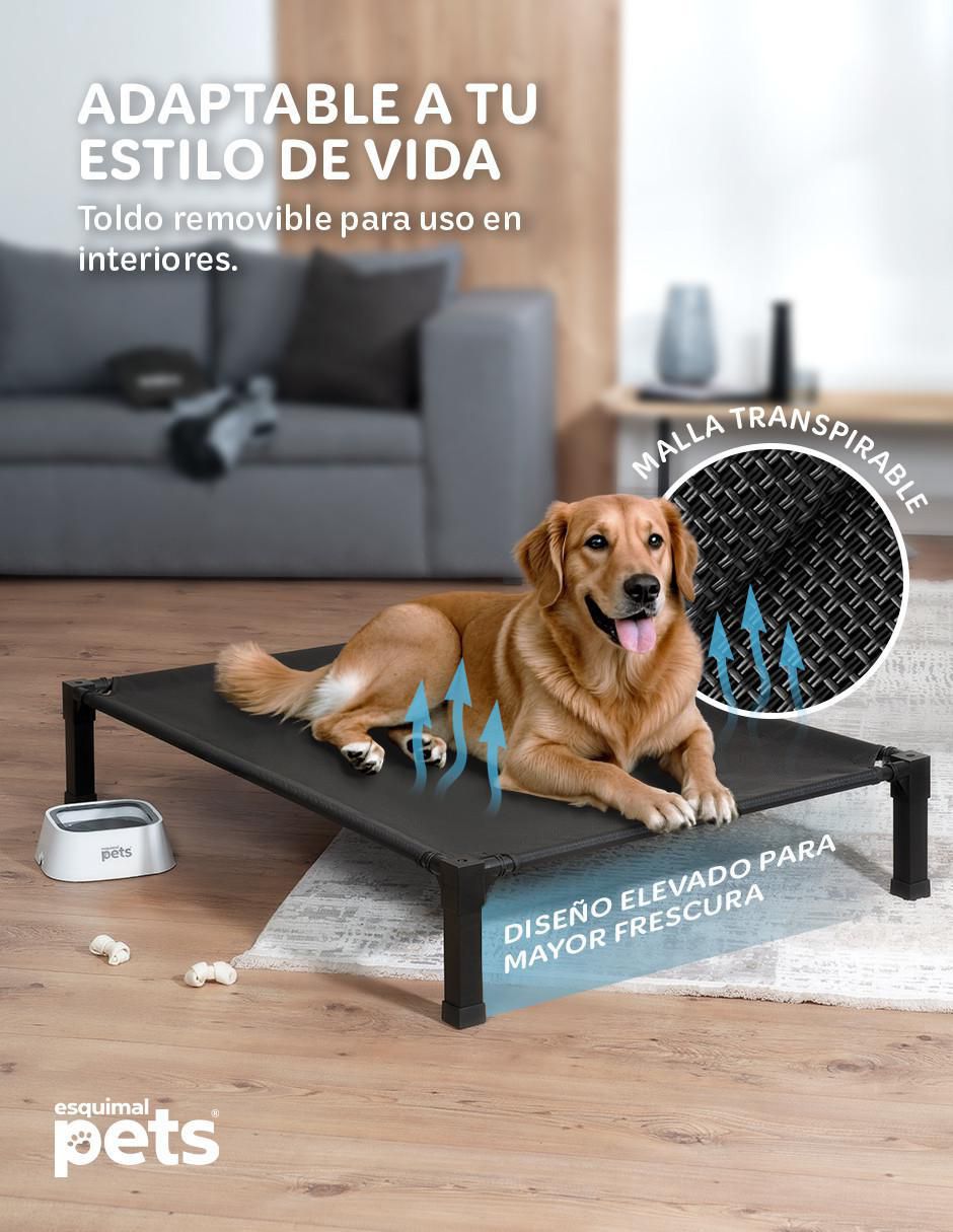 Cama capacete para mascota 6