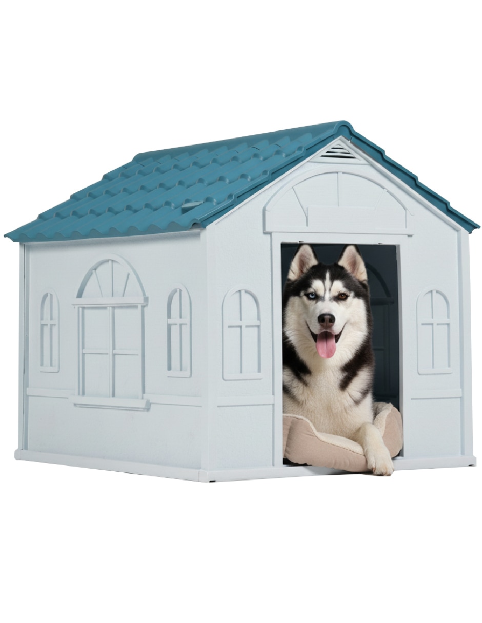 Casa para perro