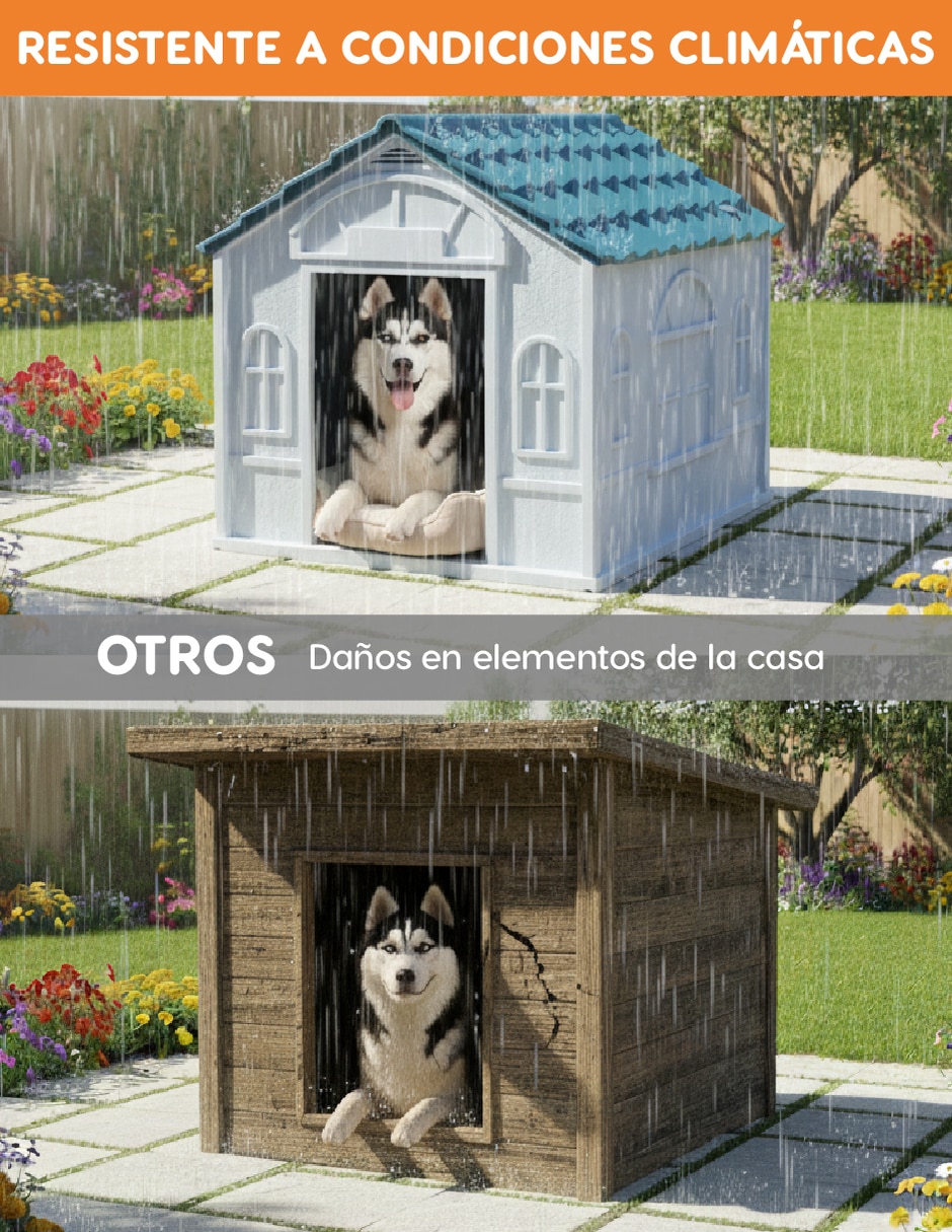 Casa para perro
