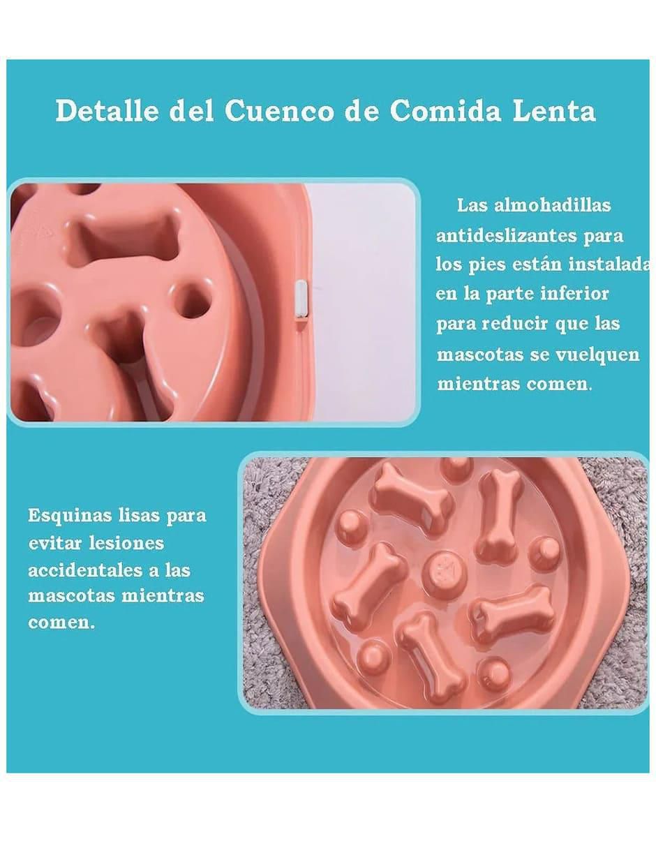 Plato para perro 3