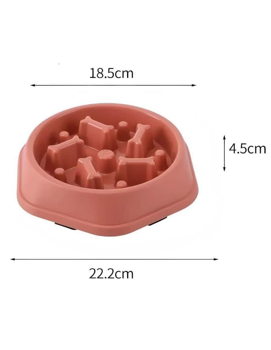 Plato para perro 4