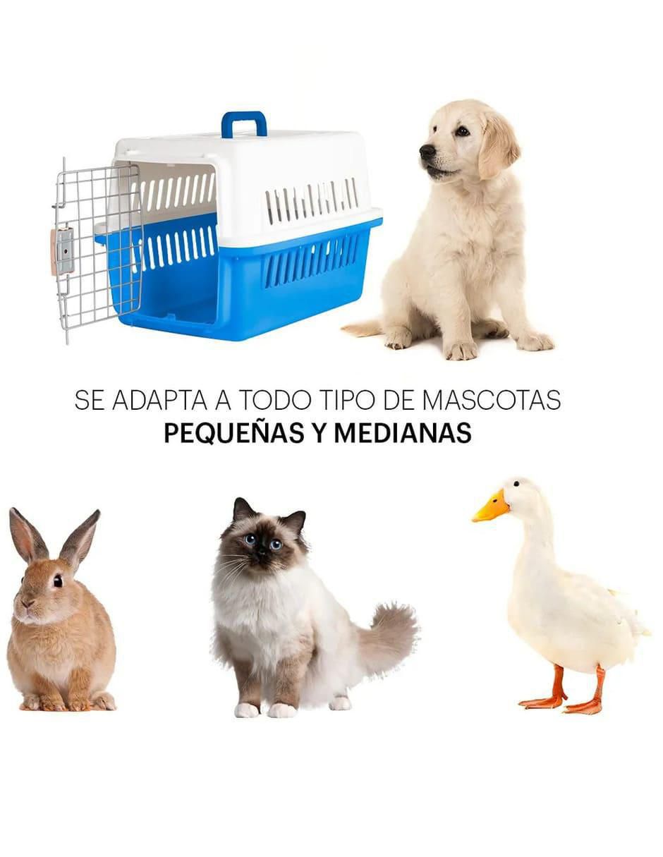 Transportadora para para mascota 3