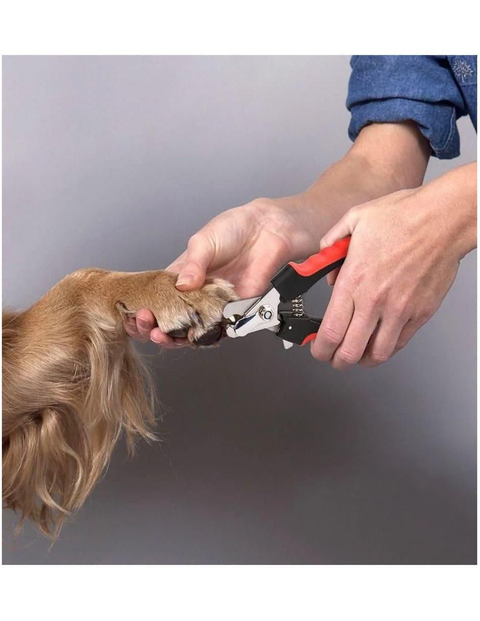 Cortaúñas para perro y gato Cortaúñas para perro y gato