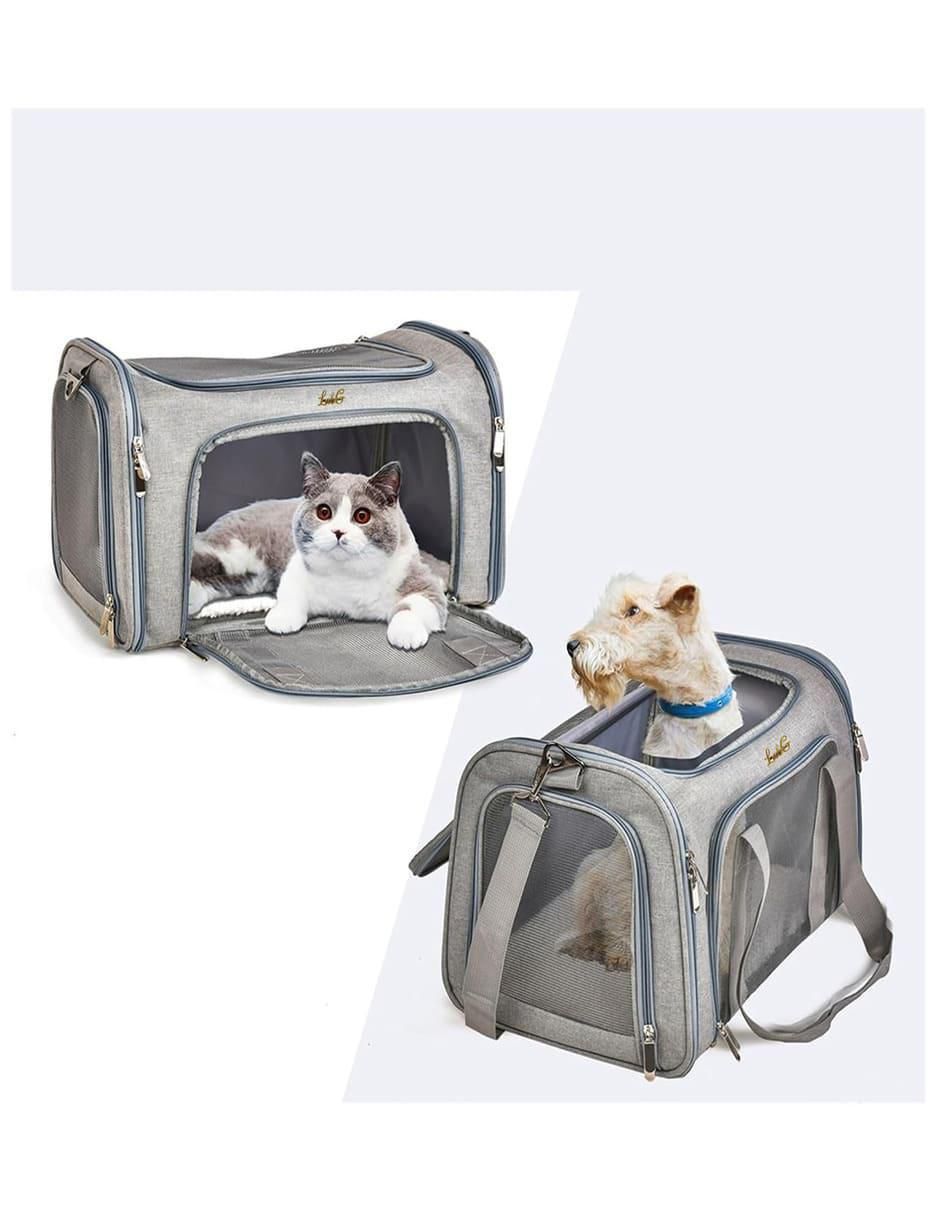 Mochila para perro y gato Lab.G