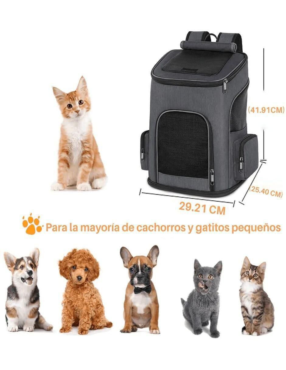 Mochila para para mascota 5