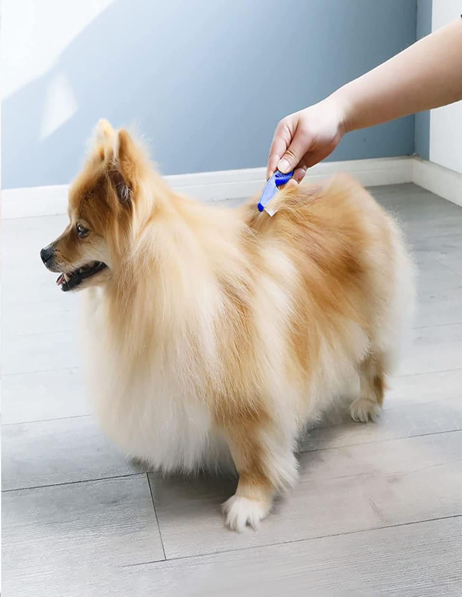 Peine para mascota