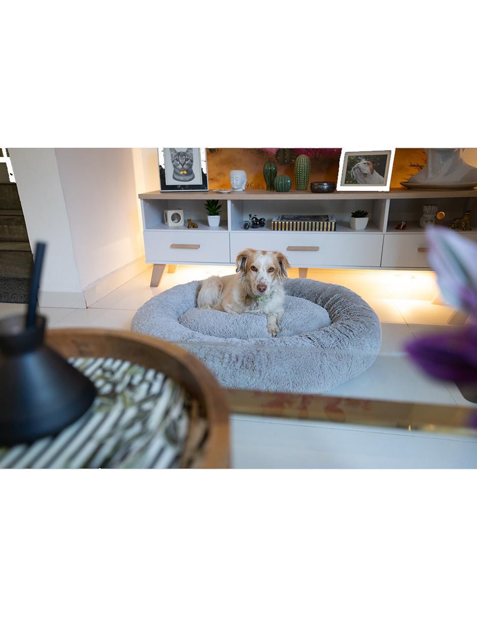Cama para mascota 7