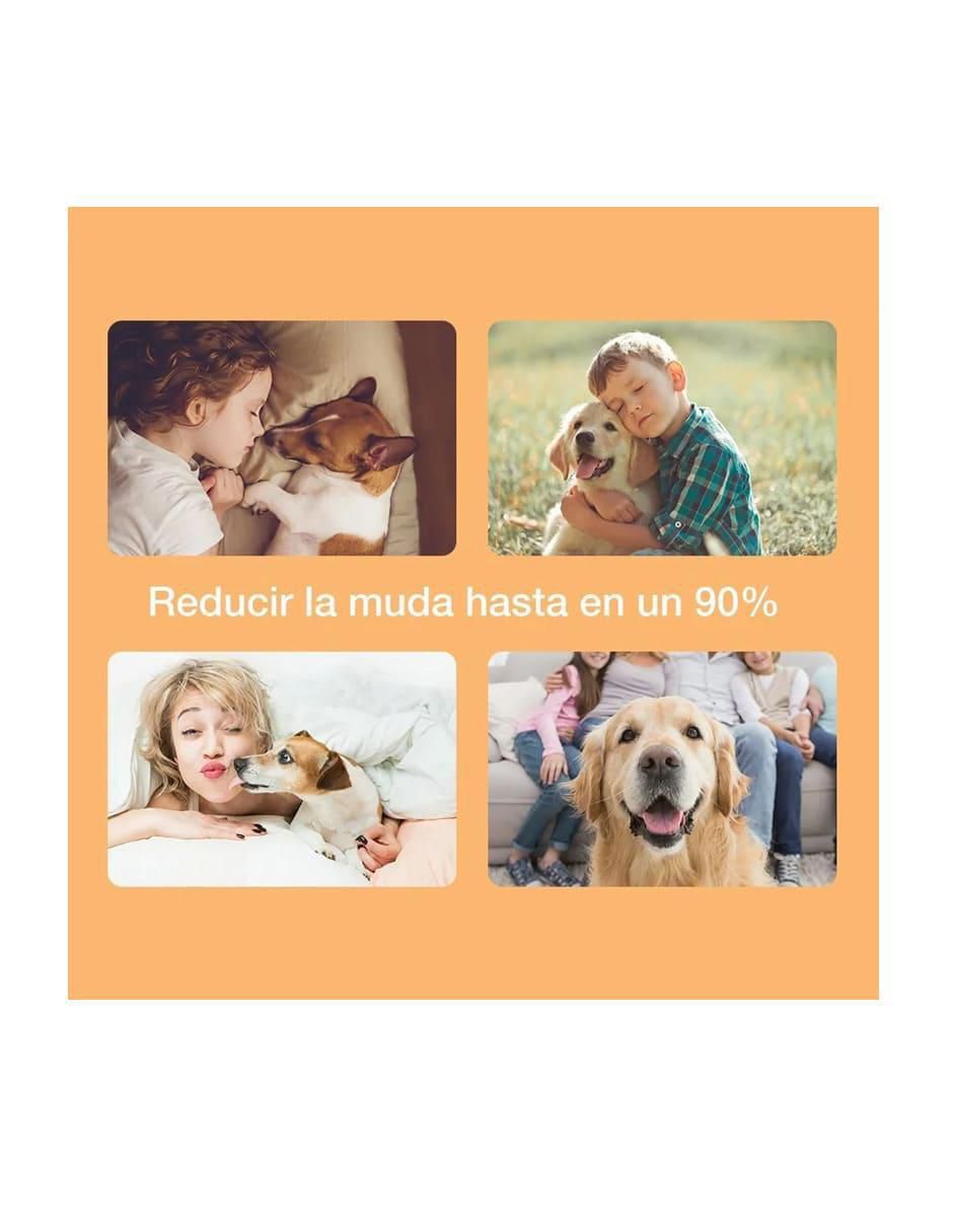 Cepillo Lab.G para mascota