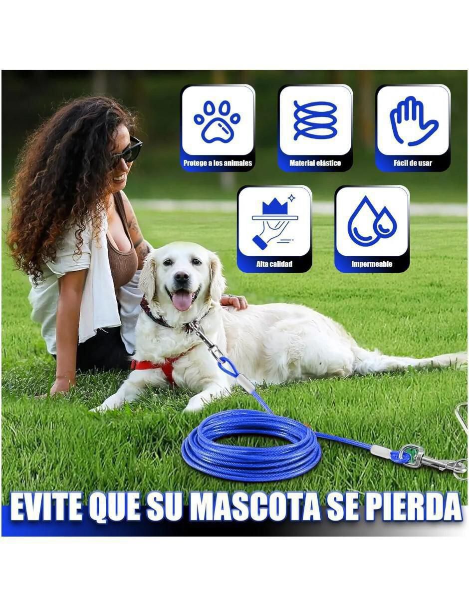 Correa para perro