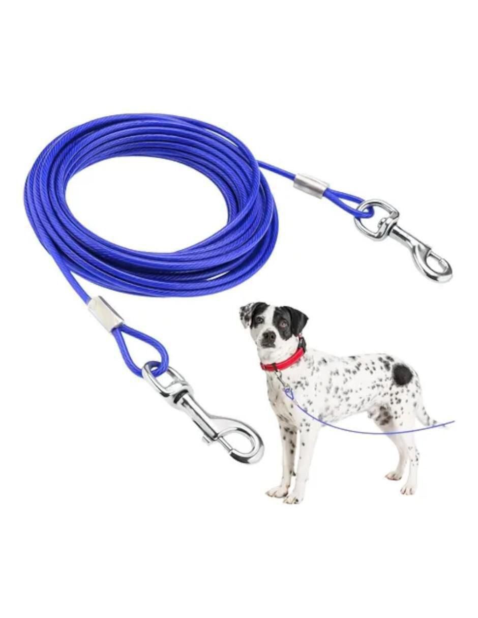 Correa para perro