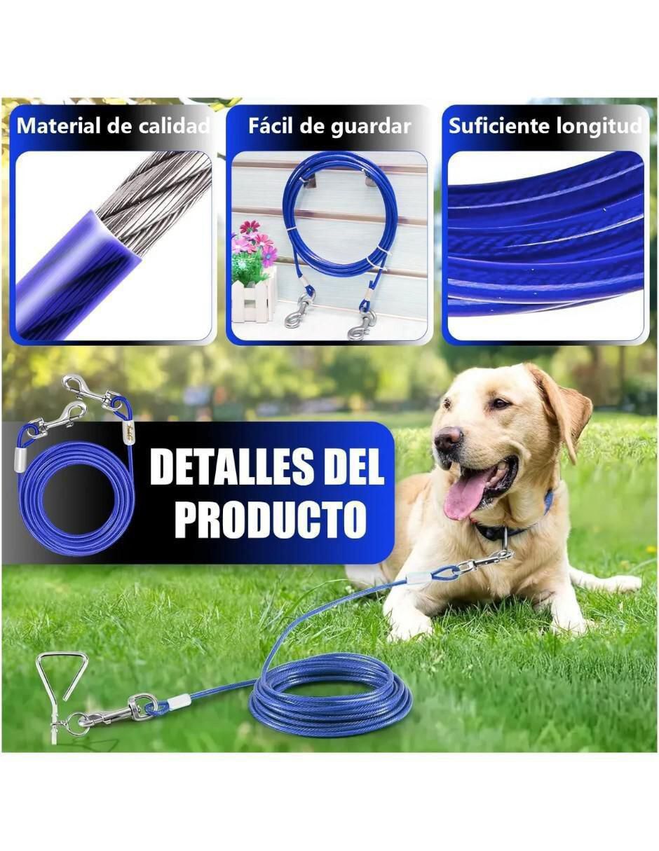 Correa para perro