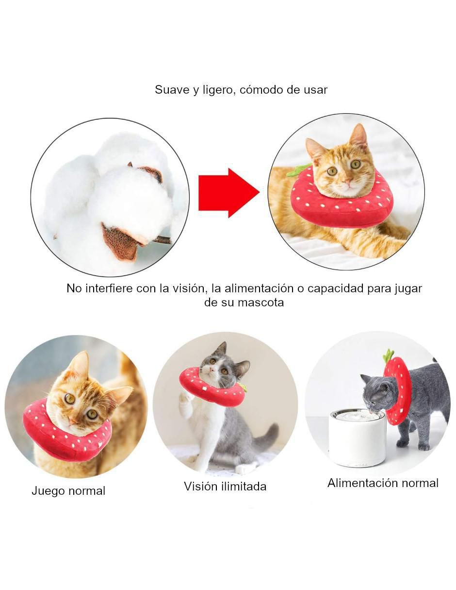 Collar isabelino para gato