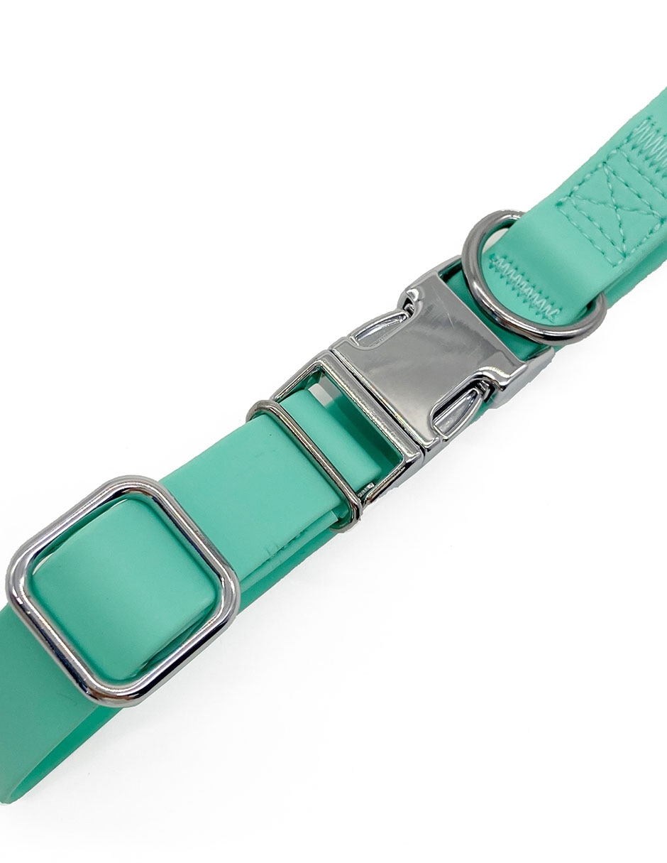Collar para perro 3