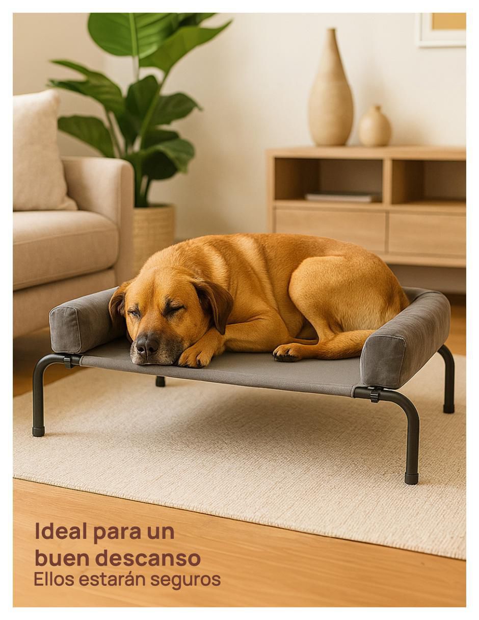 Casa para perro