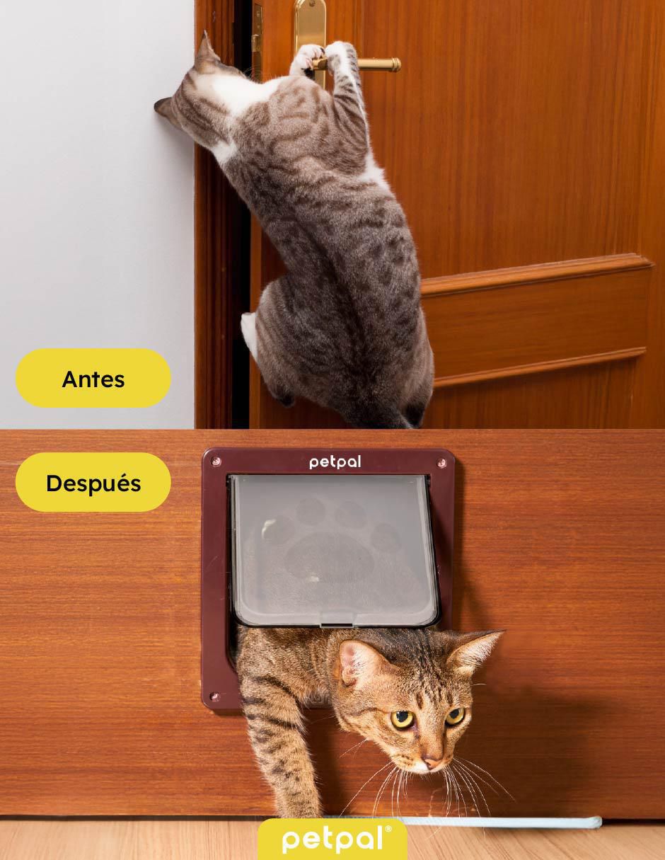 Puerta de seguridad de plástico para mascota