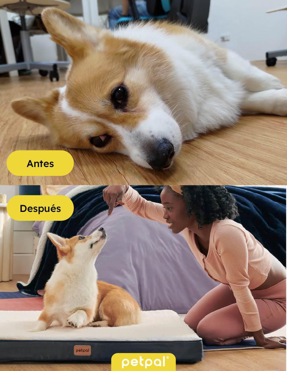 Cama para perro 4