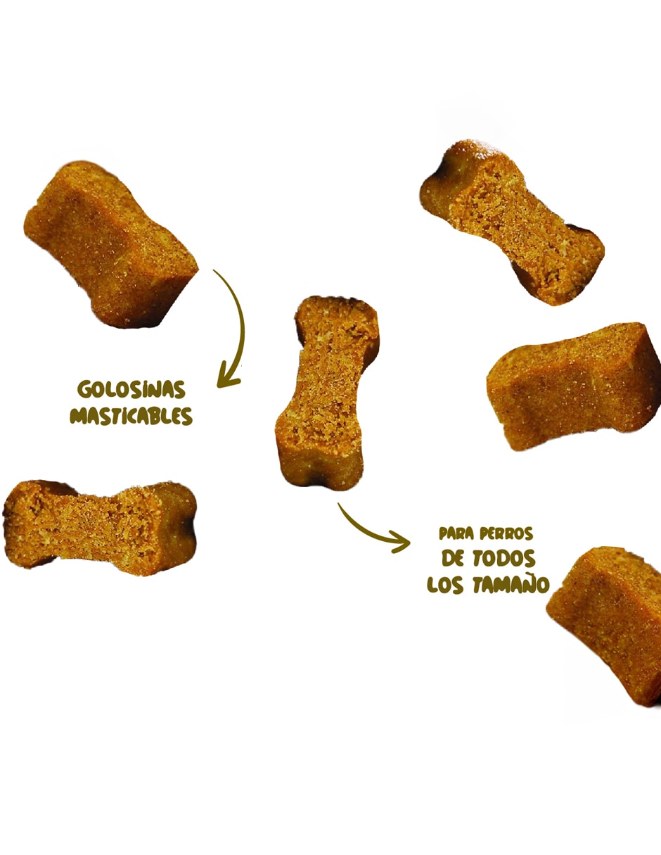 Multivitamínicos para mascota vitamínico