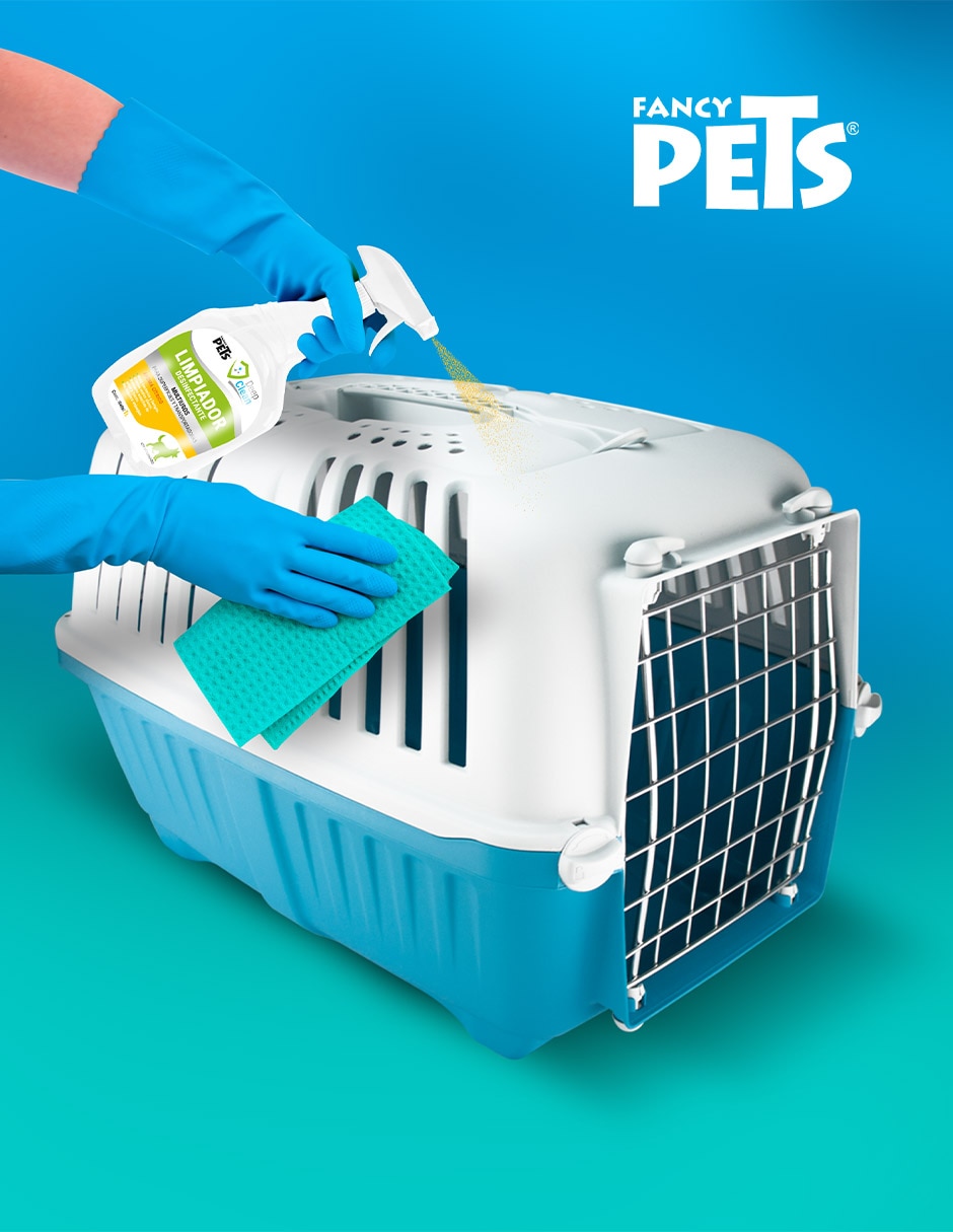 Solución limpiadora para perro Solución limpiadora para perro