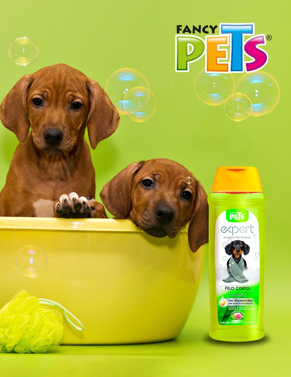 Shampoo para perro Shampoo para perro