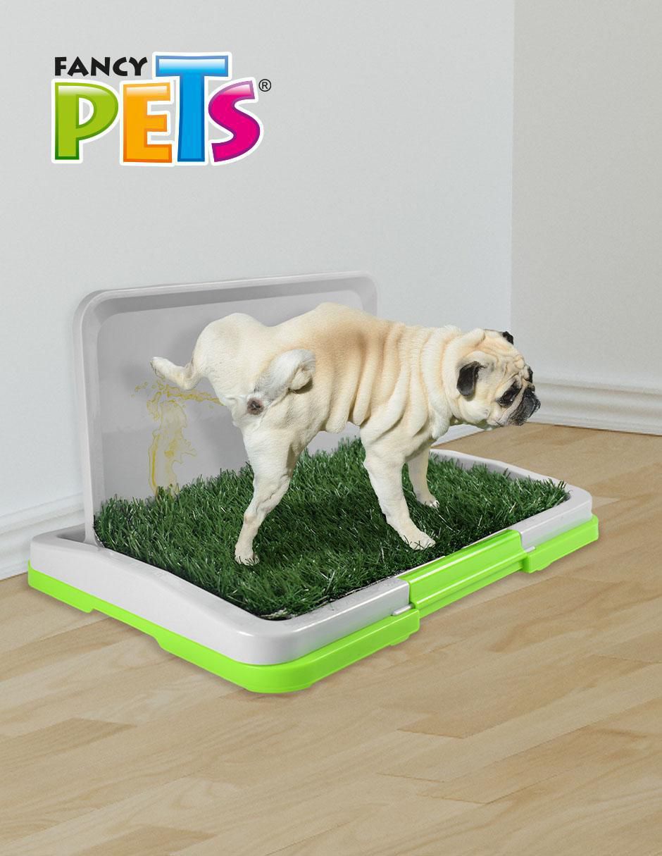 Tapete entrenador para perro Tapete entrenador para perro