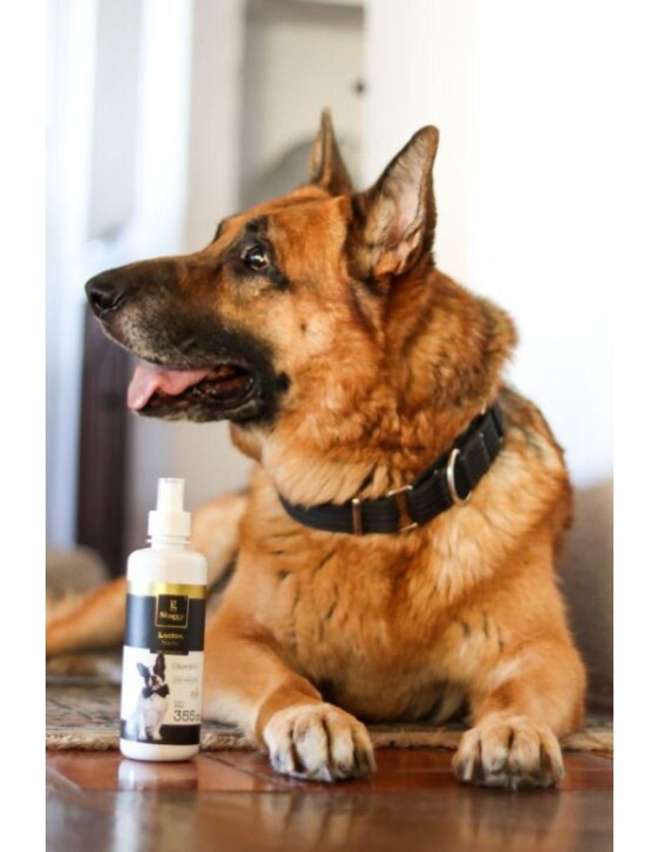 Loción para perro