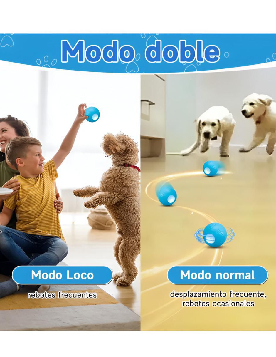 Pelota para perro