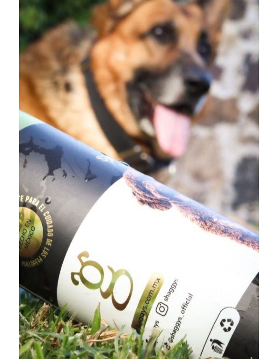 Shampoo para perro
