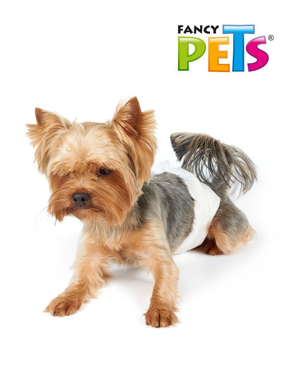 Pañal para mascota para perro