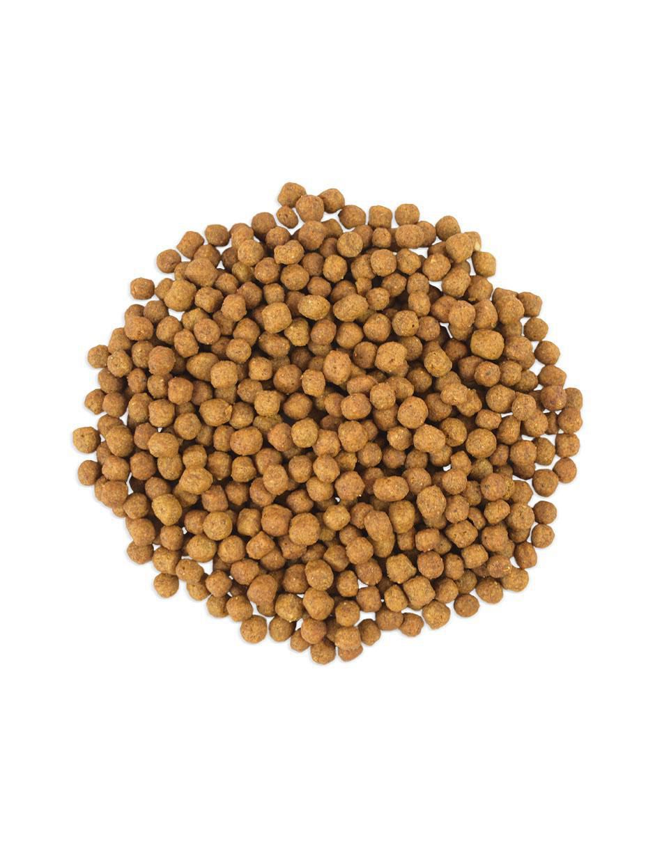 Croqueta de pollo para perro etapa adulto contenido individual 13 kg 3