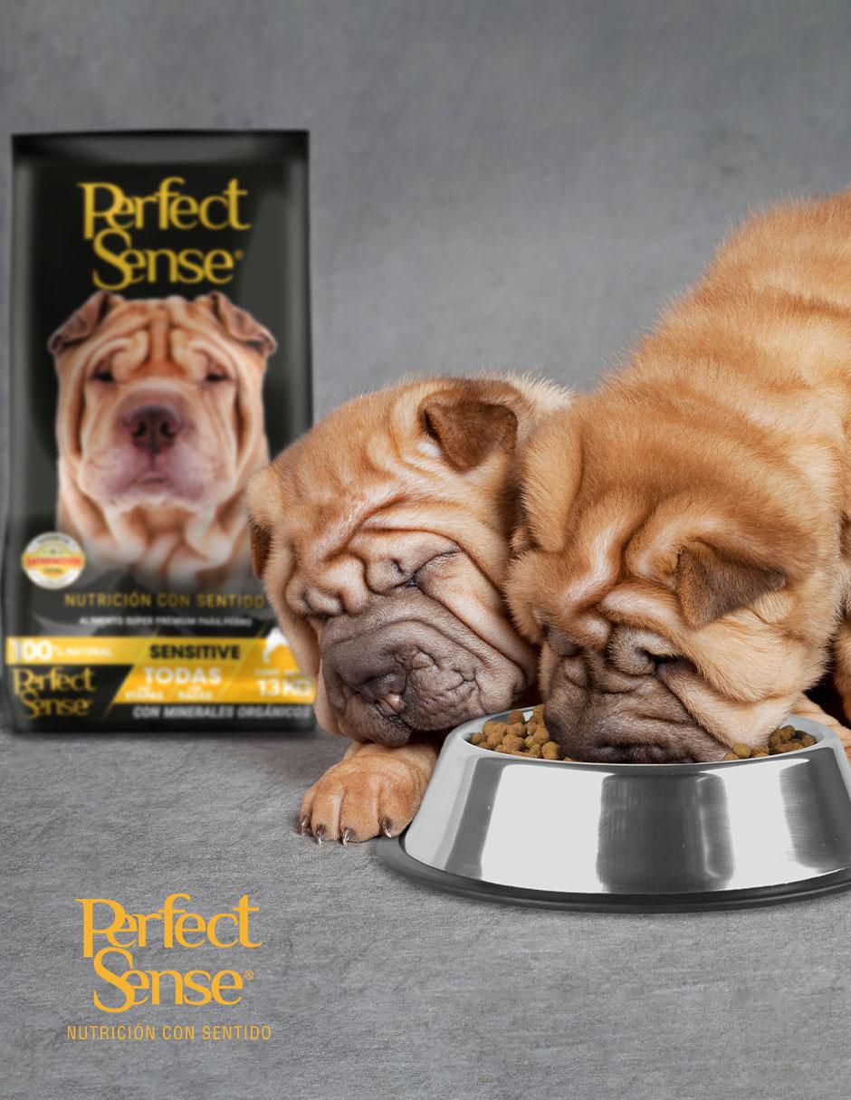 Croqueta de pollo para perro etapa adulto contenido individual 13 kg 2
