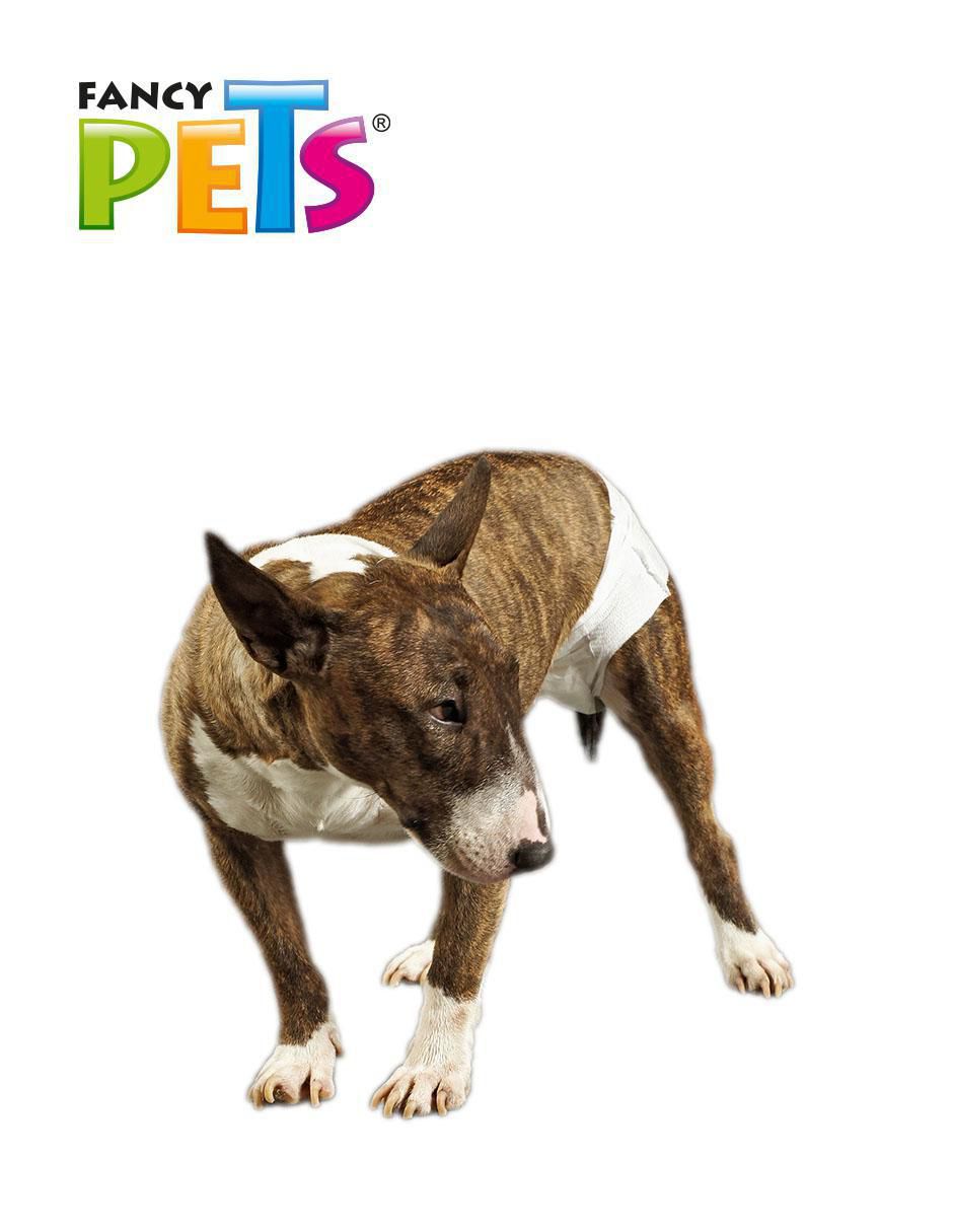 Pañal para mascota para perro 3