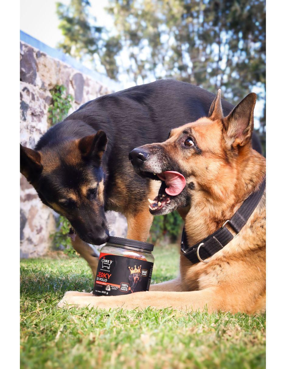 Shampoo para perro 2