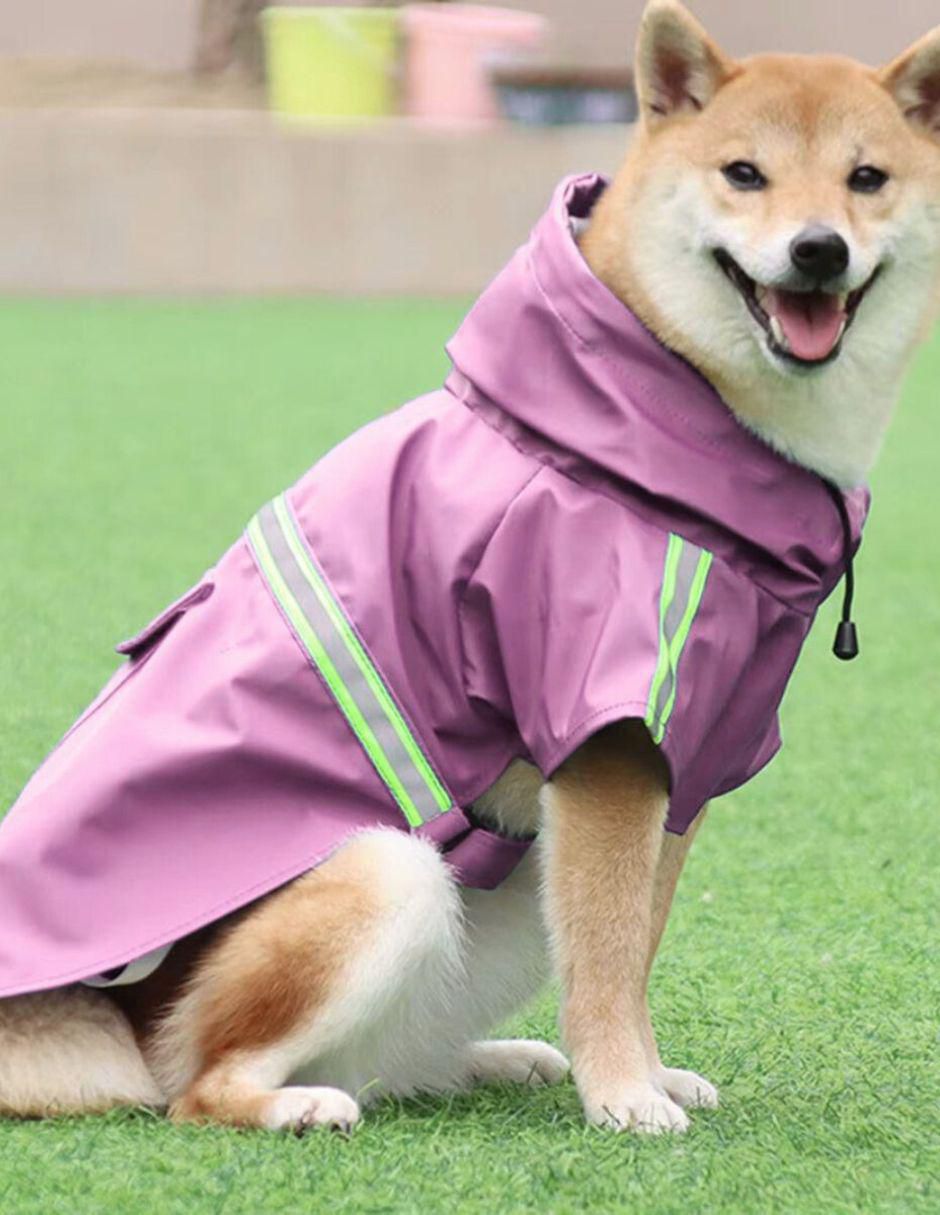 Sudadera para perro 3