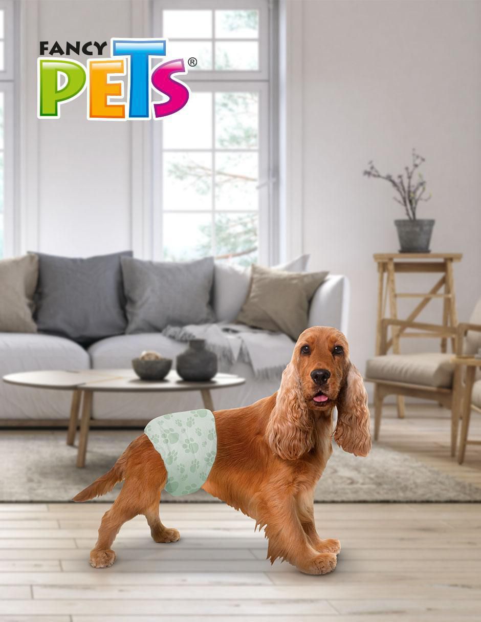 Pañal para mascota para perro 3