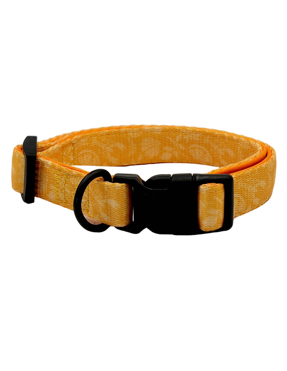 Collar Collar
