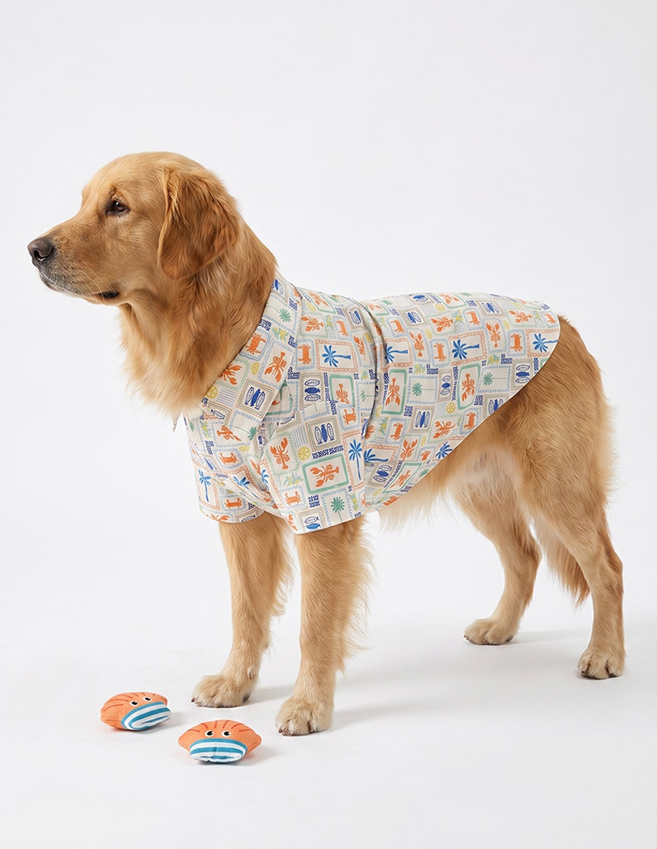 Set juguetes para mascota Now & Then