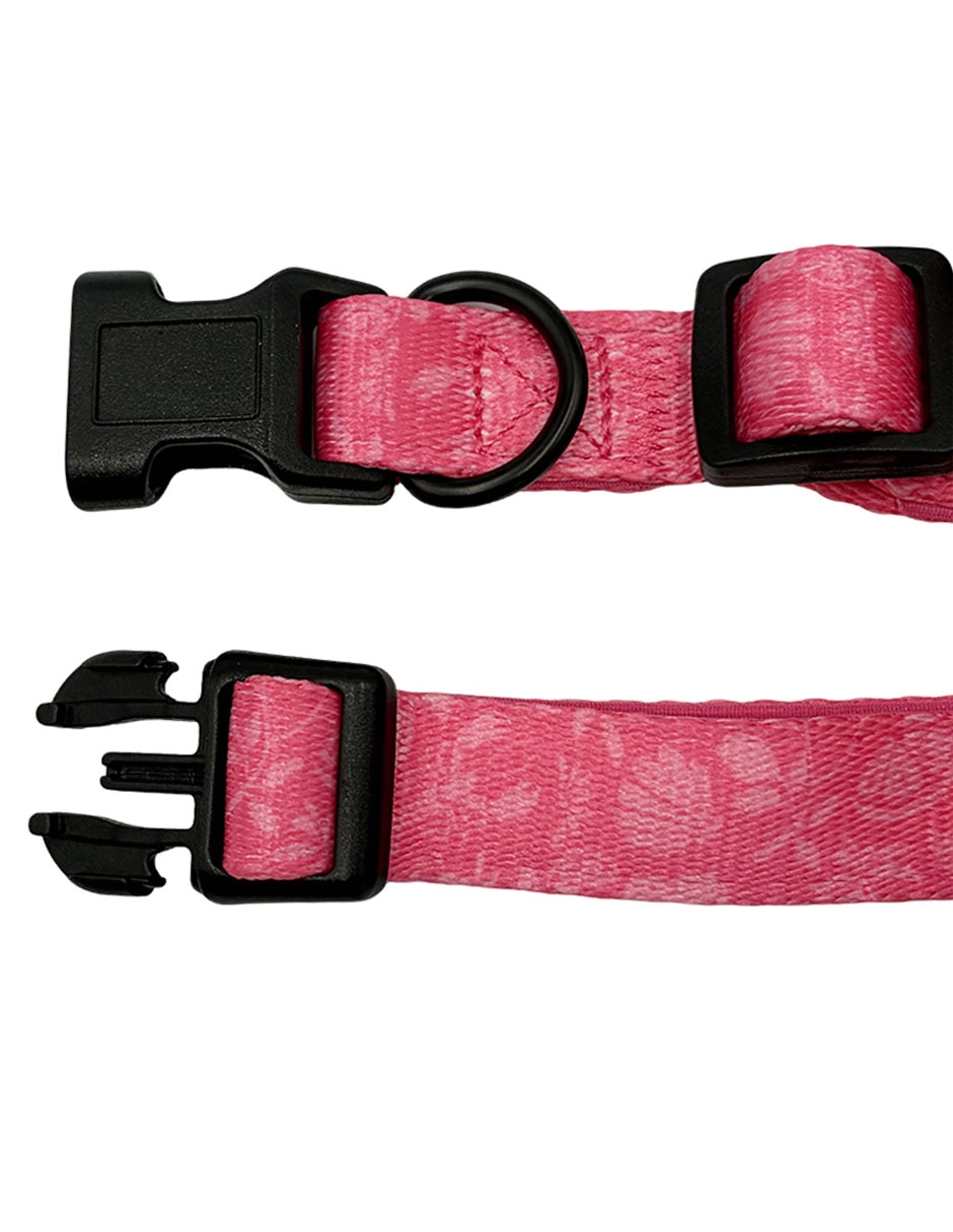 Collar para perro 2
