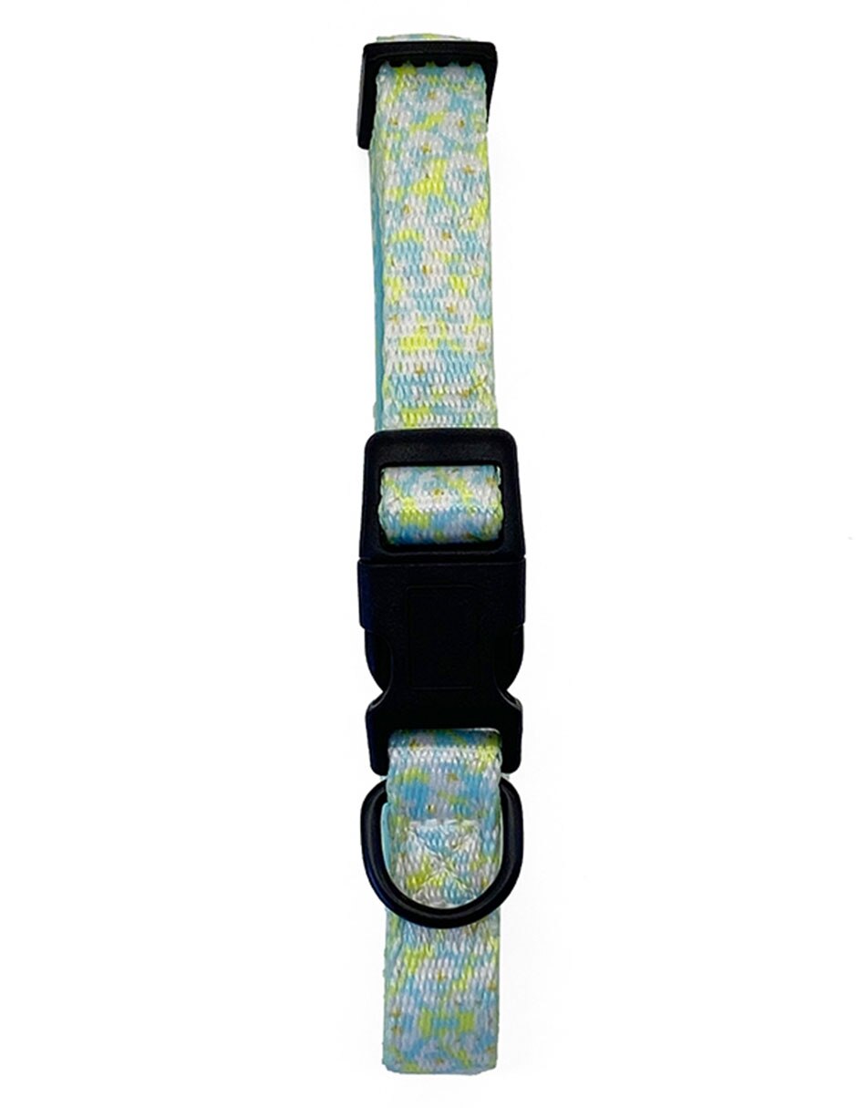Collar para perro 2