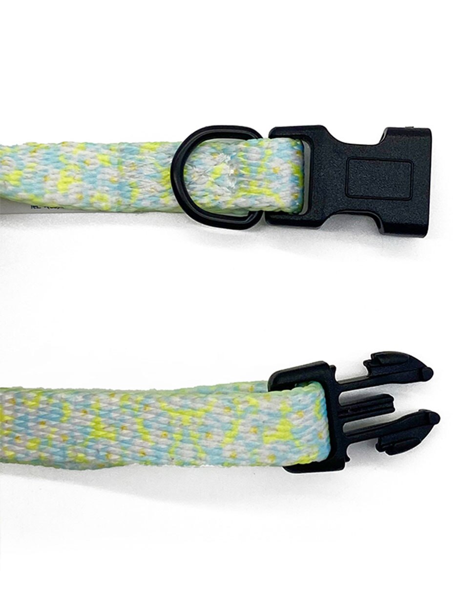 Collar para perro 4
